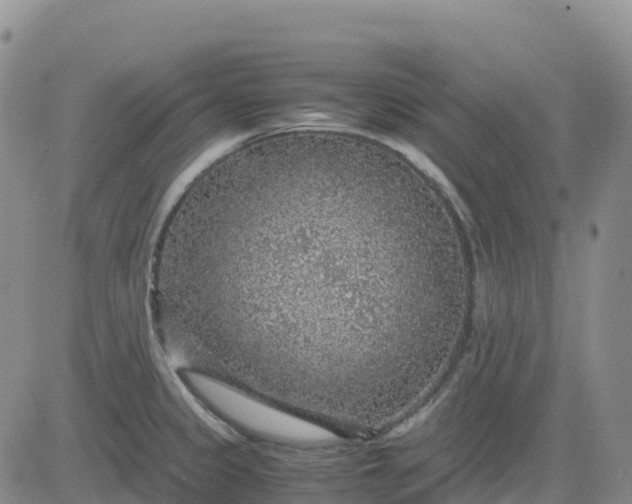 X0000083581333200702231645