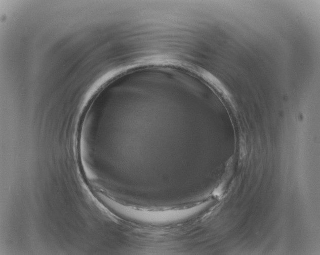 X0000083581334200702231645