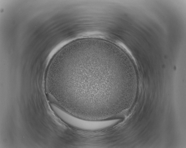 X0000083581336200702231645