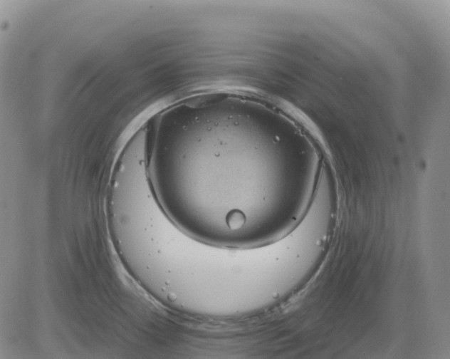 X0000083581338200702231645