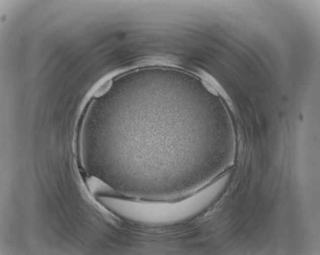 X0000083581339200702231645