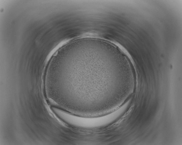 X0000083581341200702231645