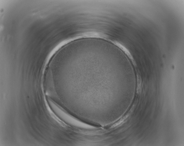 X0000083581342200702231645