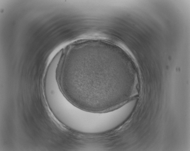 X0000083581344200702231645