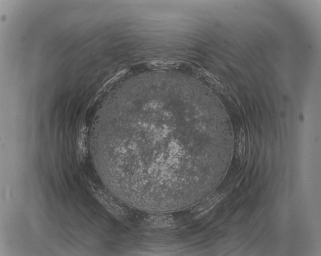 X0000083581346200702231645