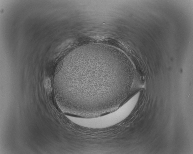 X0000083581347200702231645