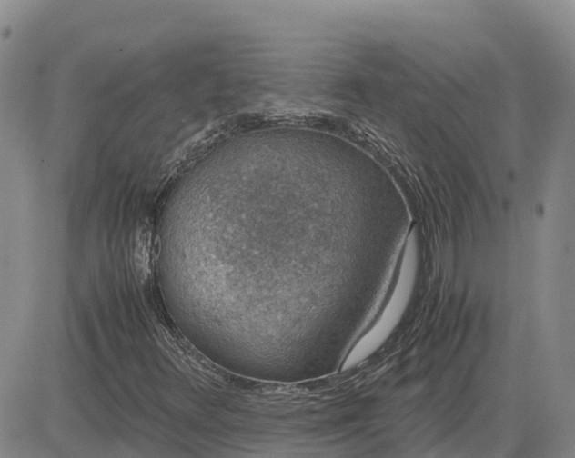 X0000083581348200702231645