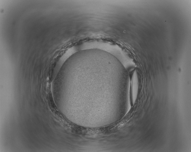 X0000083581349200702231645