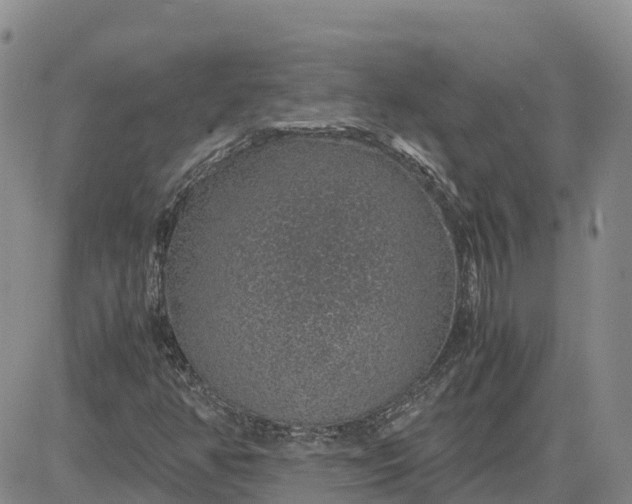 X0000083581350200702231645