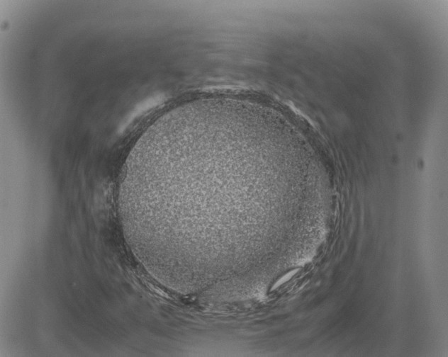 X0000083581351200702231645