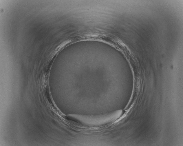 X0000083581353200702231645