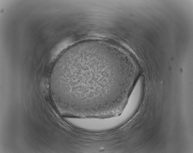 X0000083581355200702231644