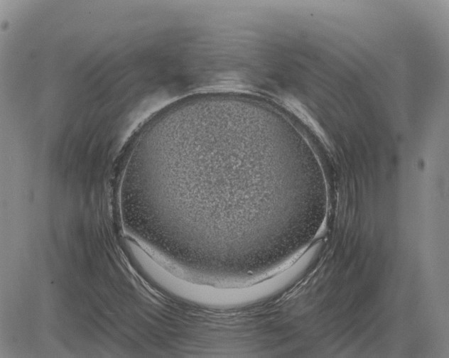 X0000083581356200702231644