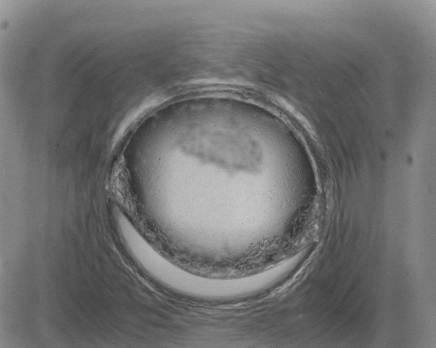 X0000083581357200702231644