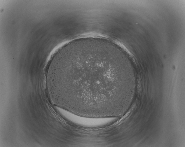 X0000083581358200702231644