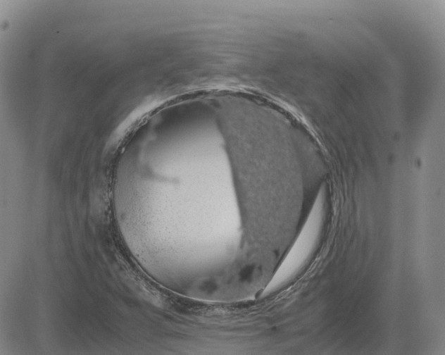 X0000083581359200702231644