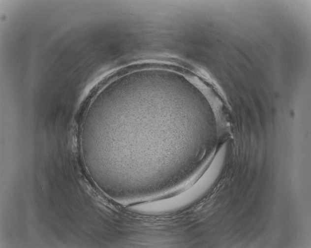 X0000083581360200702231644