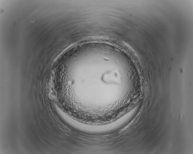 X0000083581361200702231644