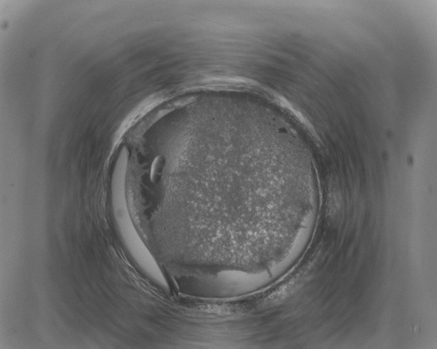 X0000083581362200702231644