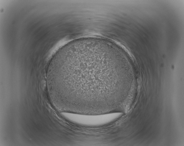 X0000083581363200702231644