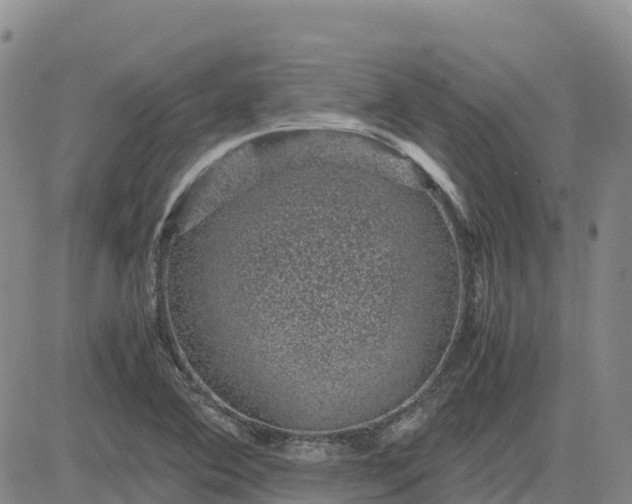 X0000083581364200702231644