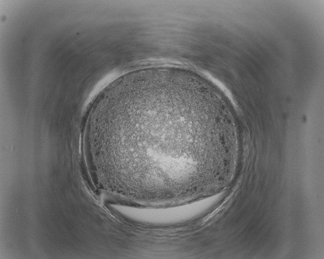 X0000083581365200702231644