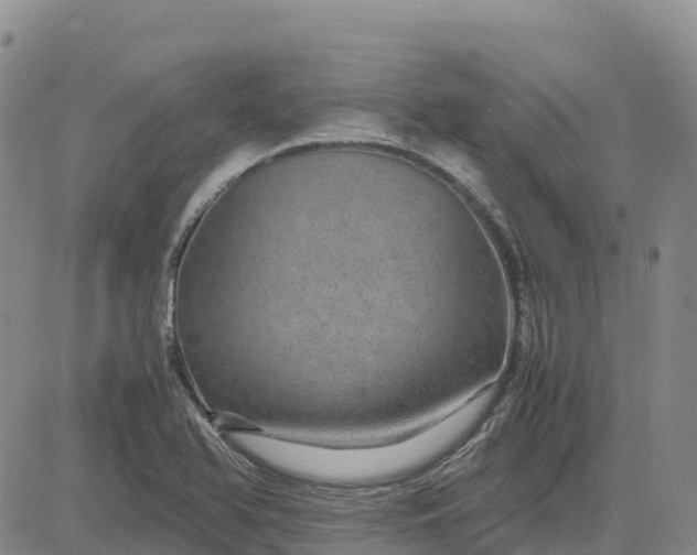 X0000083581366200702231644