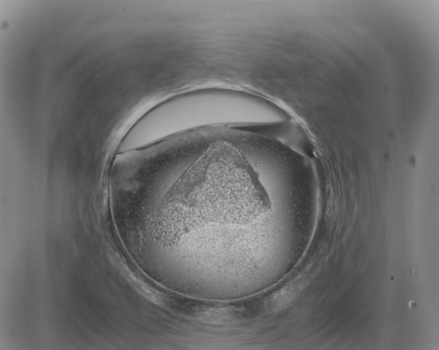 X0000083581367200702231644