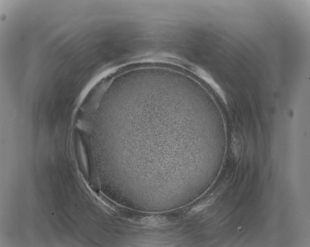 X0000083581368200702231644