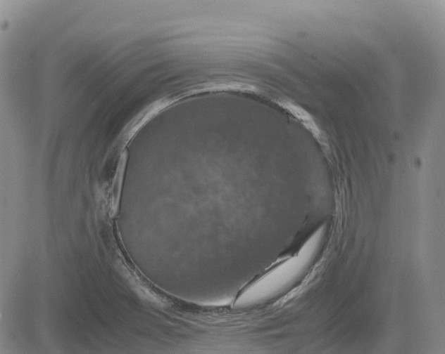 X0000083581369200702231644