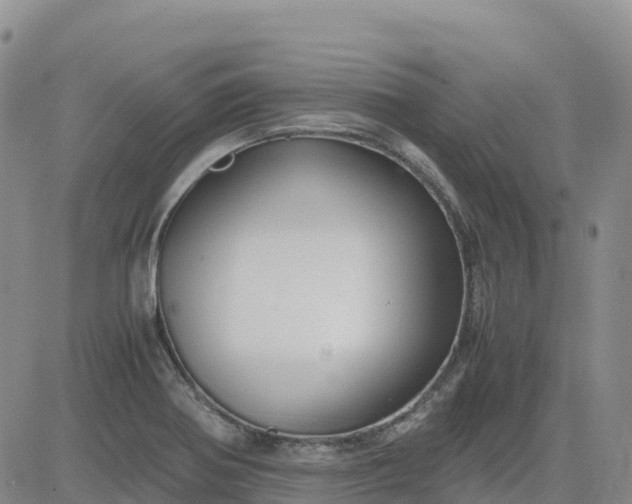 X0000083581370200702231644