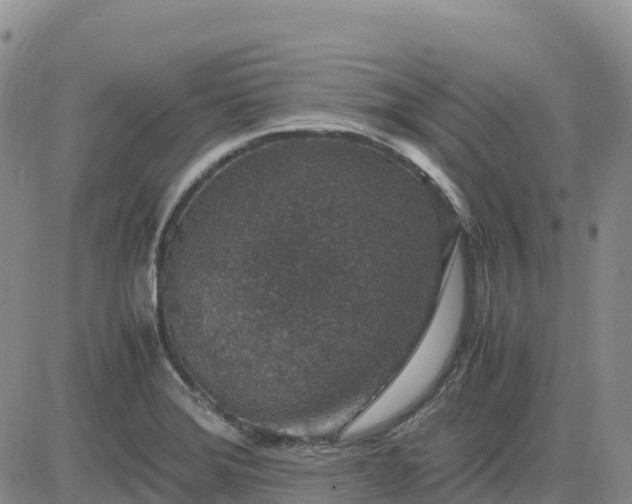 X0000083581372200702231644