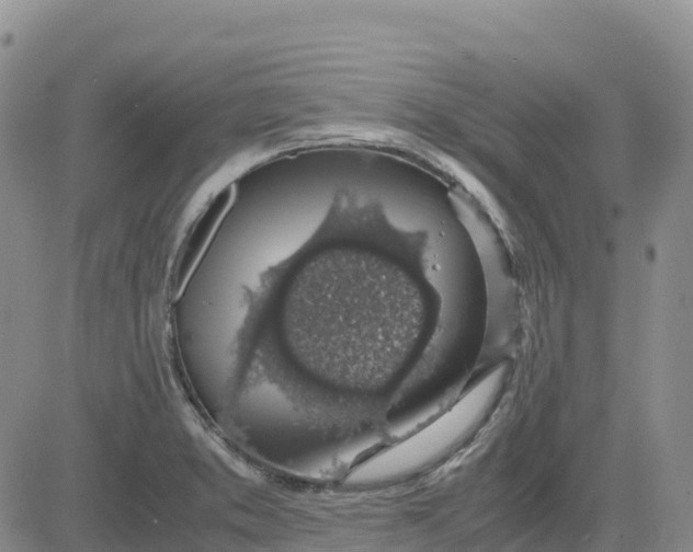 X0000083581373200702231644