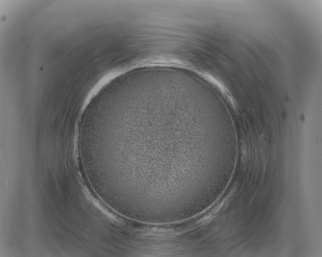 X0000083581374200702231644