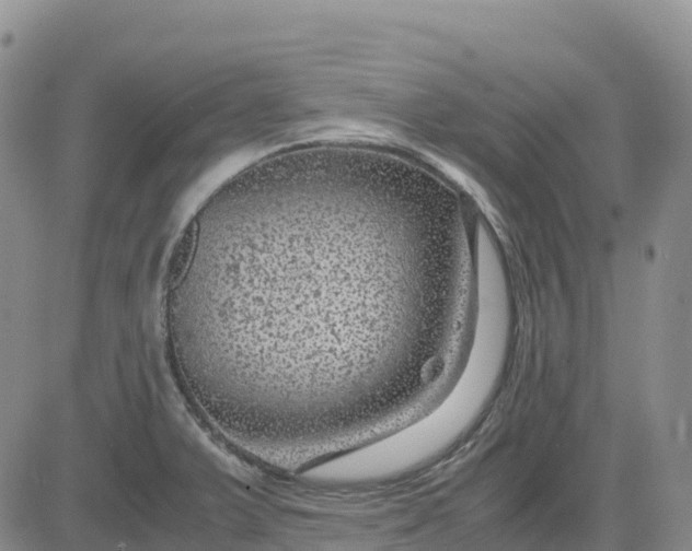 X0000083581375200702231644