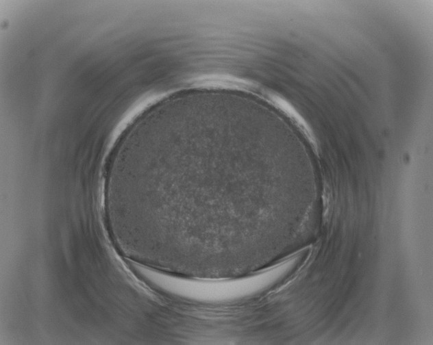 X0000083581376200702231644