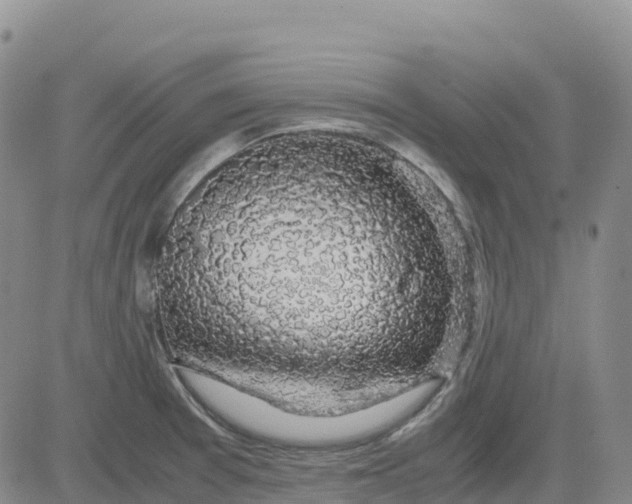 X0000083581377200702231644