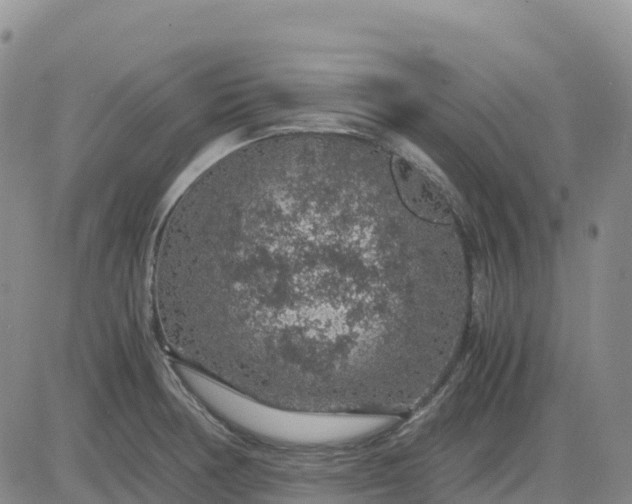 X0000083581378200702231644