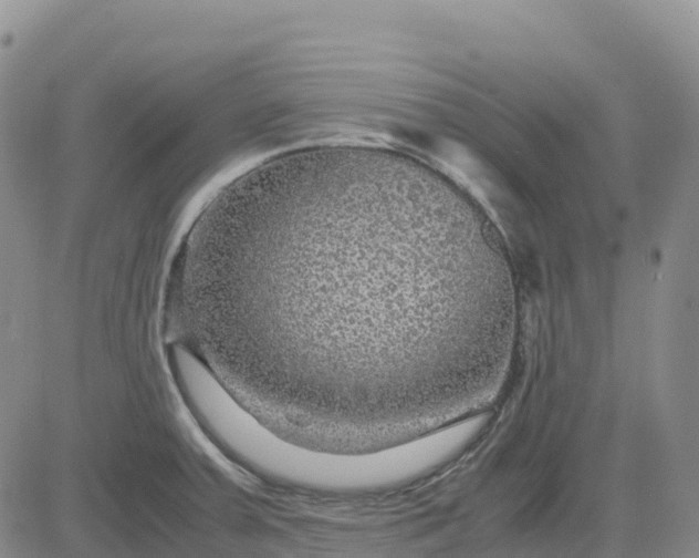 X0000083581379200702231644