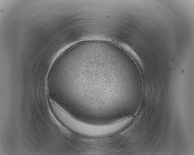 X0000083581380200702231644