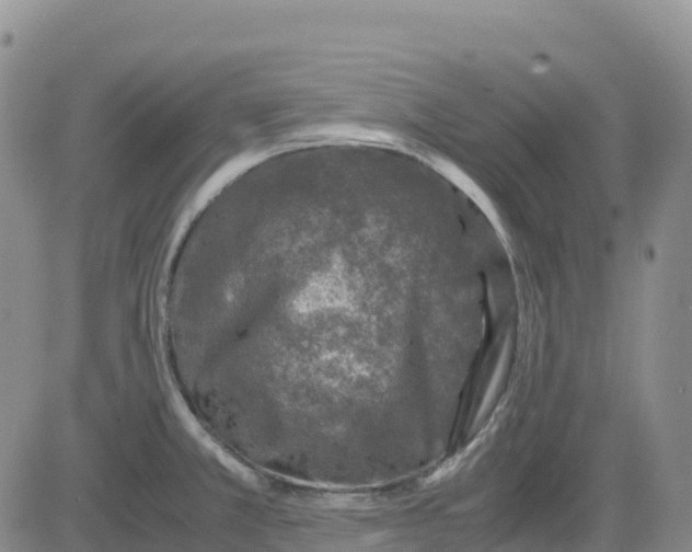 X0000083581381200702231644