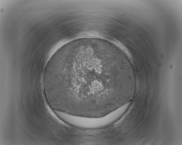 X0000083581382200702231644