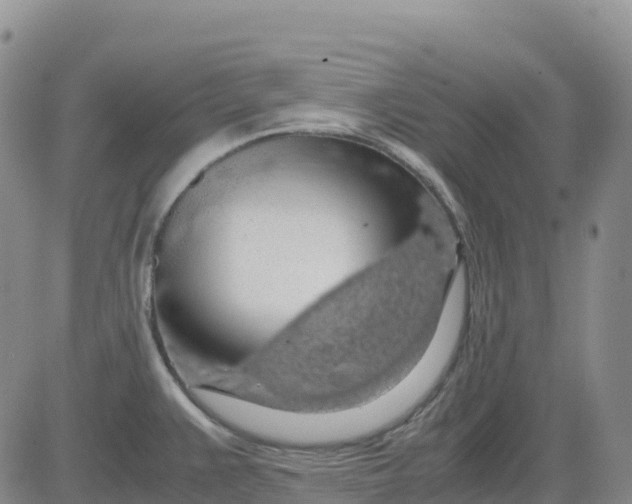 X0000083581383200702231644