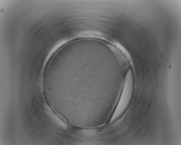 X0000083581384200702231644