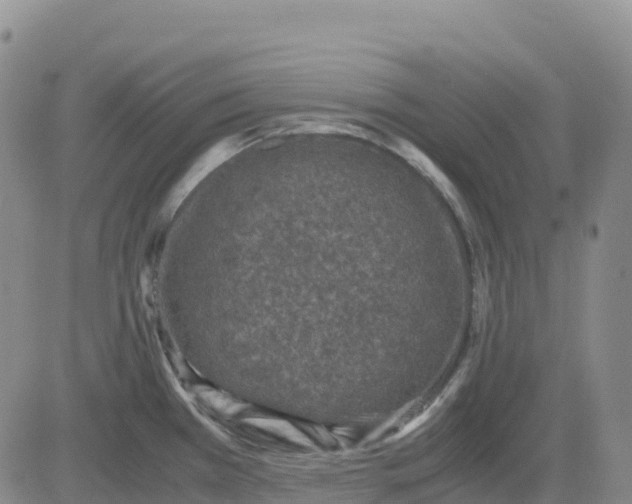 X0000083581385200702231644