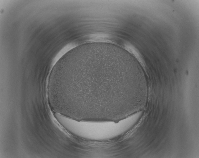 X0000083581386200702231644