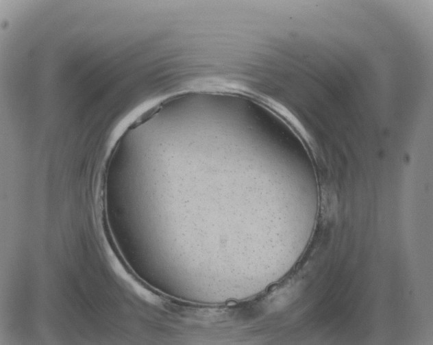 X0000083581387200702231644