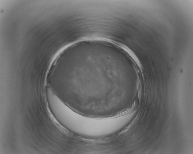 X0000083581388200702231644