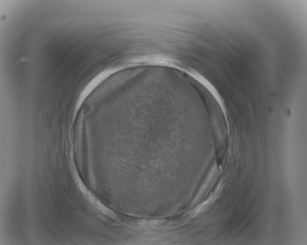 X0000083581389200702231644