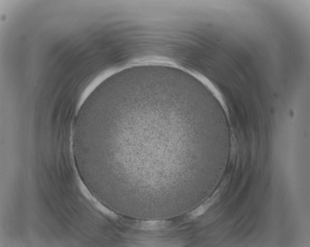 X0000083581390200702231644